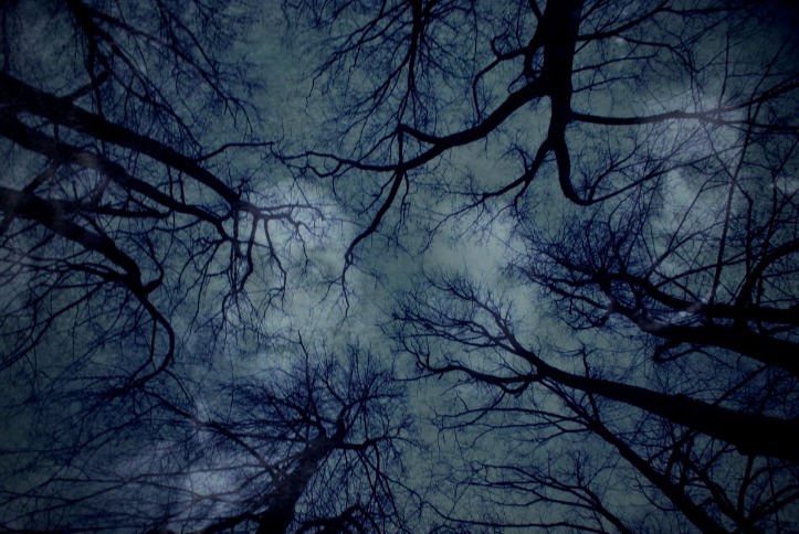 dark web markets 2023