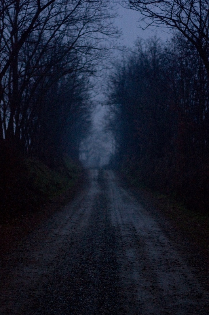 dark web links 2025 reddit