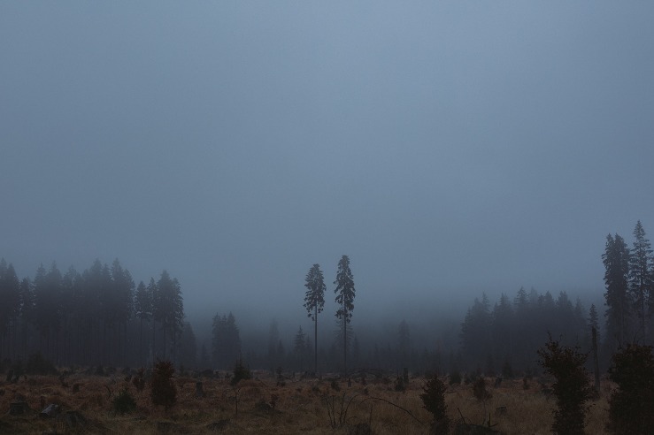 dark net market links 2023