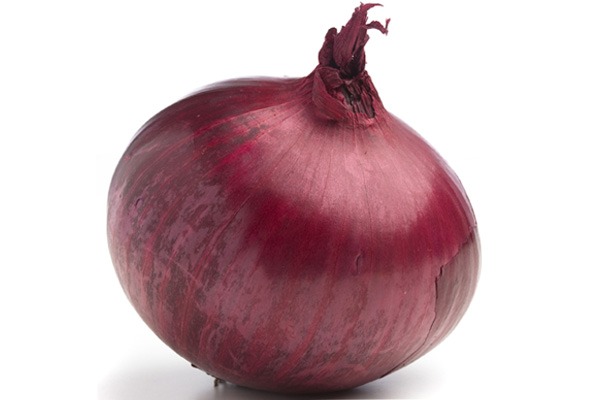 onion dark website