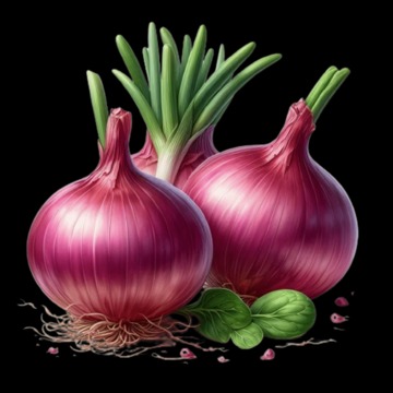 onions links