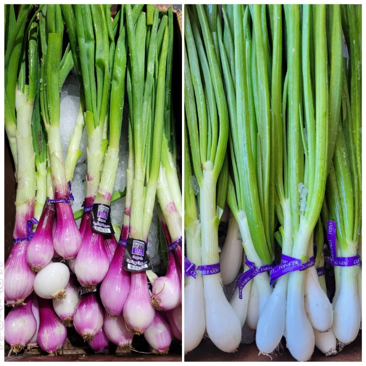 onion links sites