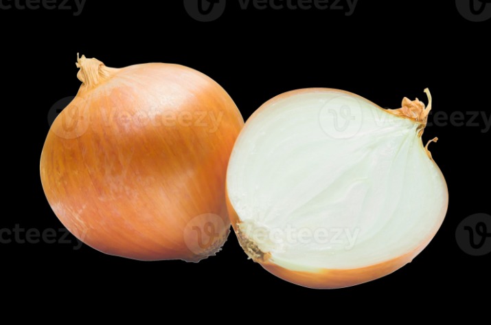 onion dark web
