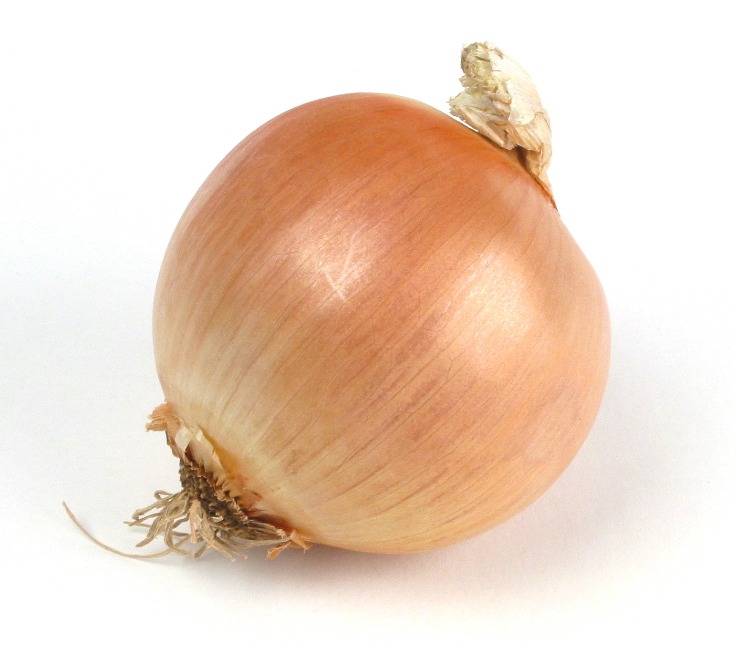 onion deep web wiki
