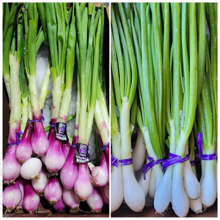 onion link search engine