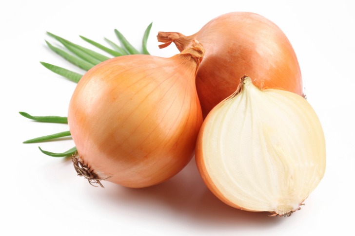 onion link search engine