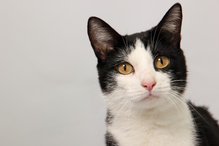 black market bank account