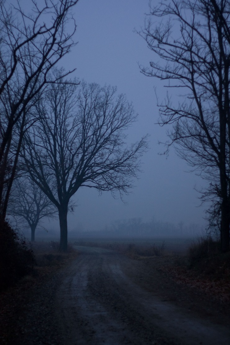 dark web markets 2023 australia