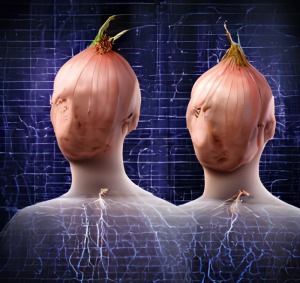 tor market links 2023