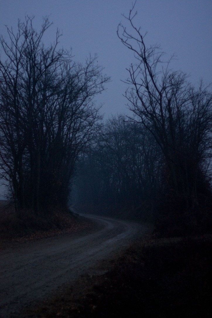 dark markets slovakia