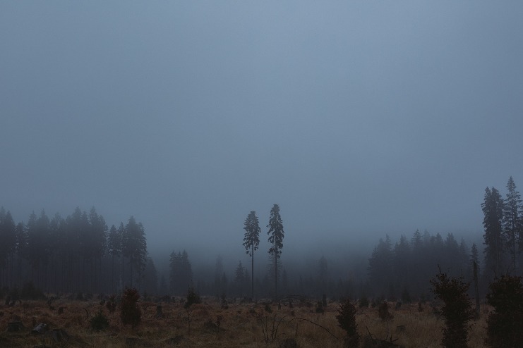 dark web markets reddit