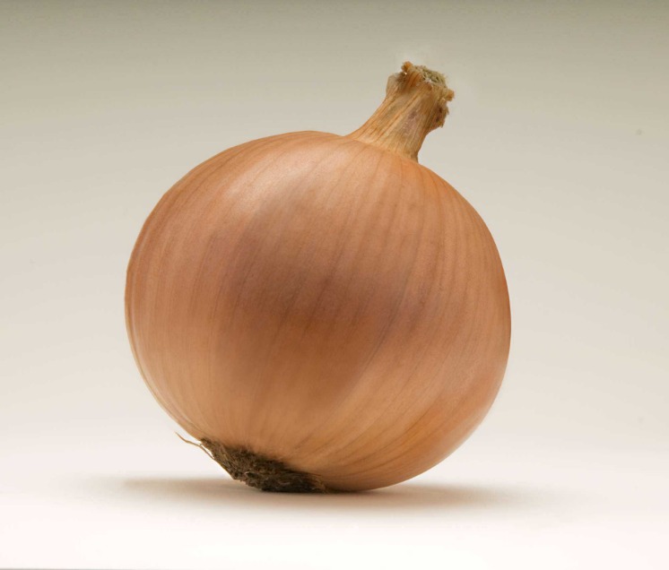 onion dark web list