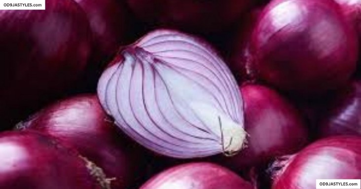 onion dark web list