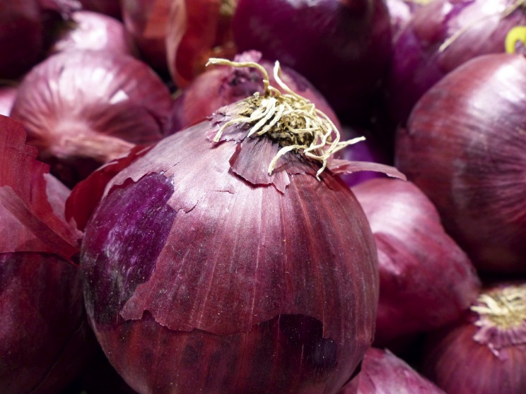onion dark web list