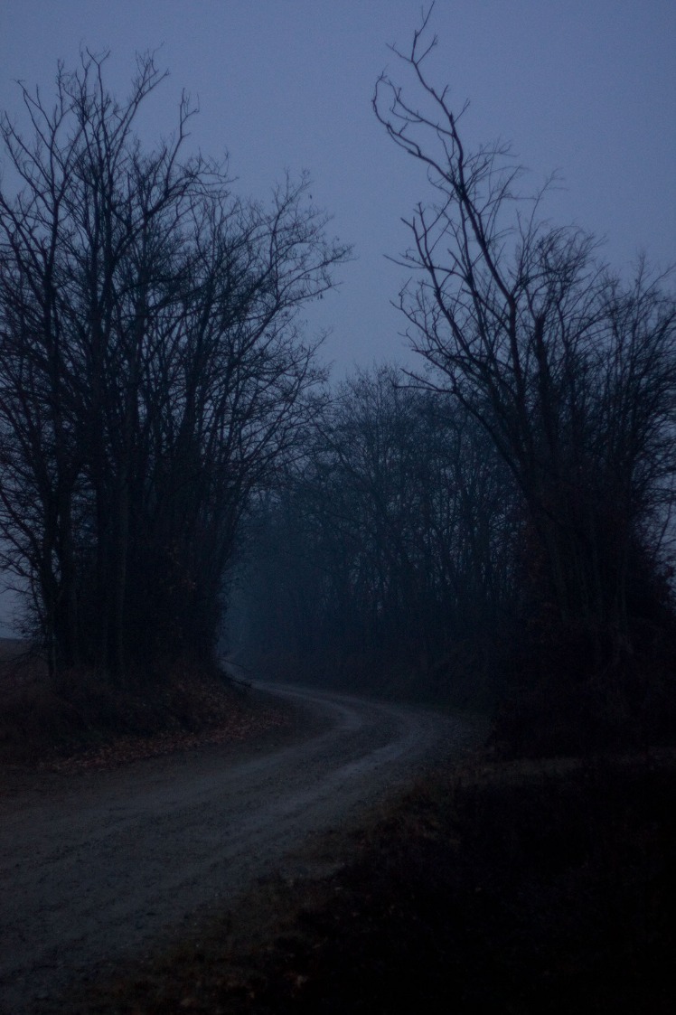 dark markets switzerland