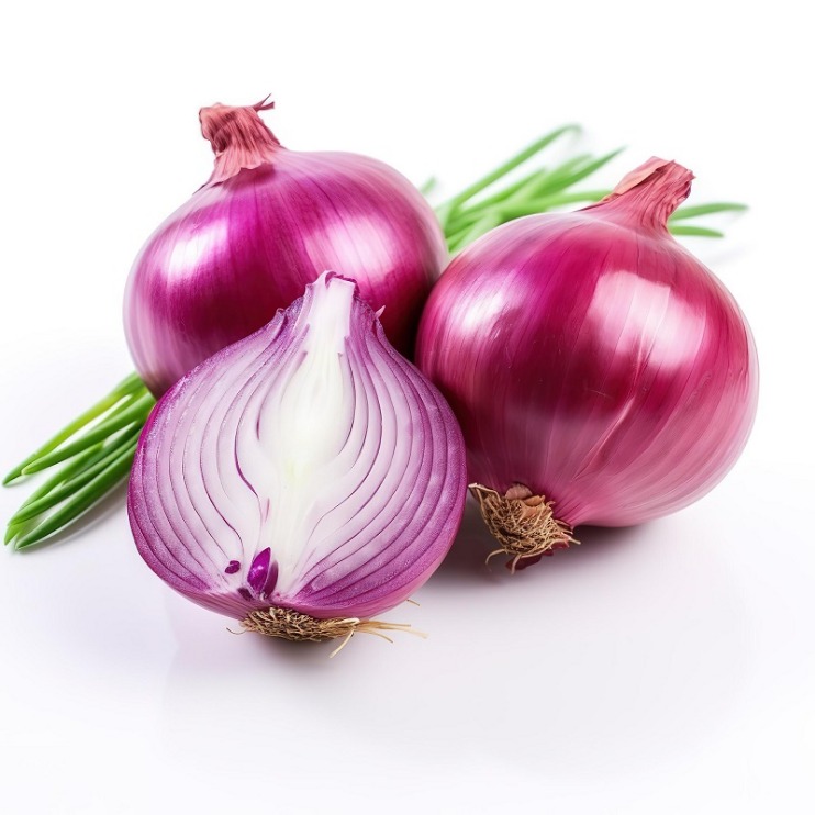 onion directory 2025