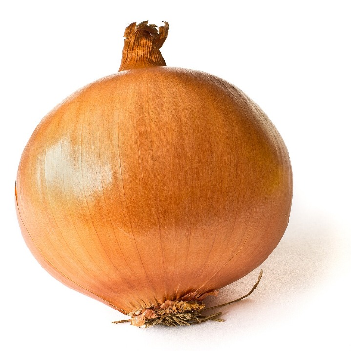 onion deep web search