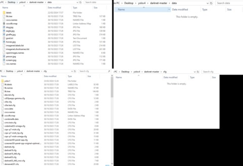 darknet database market