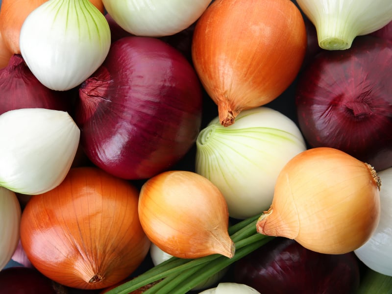onion dark web