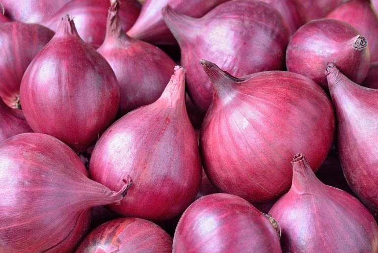 onion dark web list