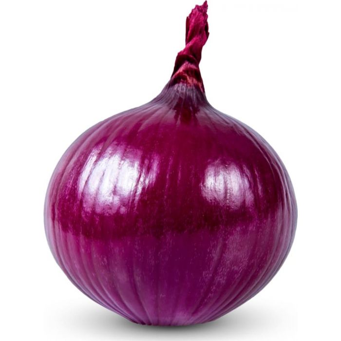 onion deep web search