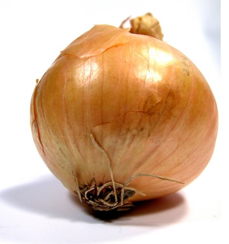 onion deep web search