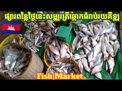 dn market