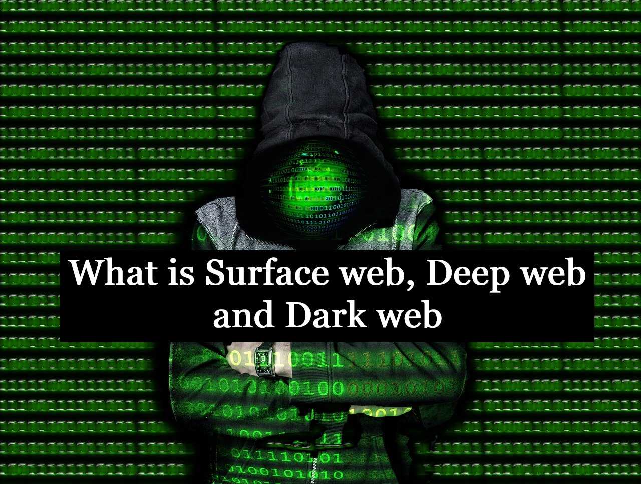 the dark web website