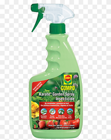 asap market url
